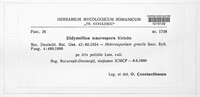 Cladosporium iridis image